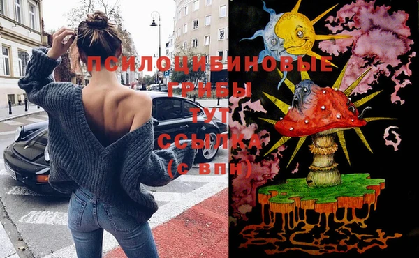 винт Белокуриха