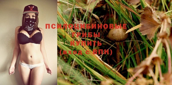 не бодяженный Беломорск