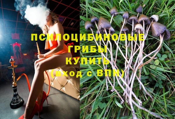 прущие грибы Богданович
